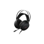 RAPOO VH310 Gaming Headset