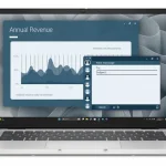 Dell Pro 14 PC14255